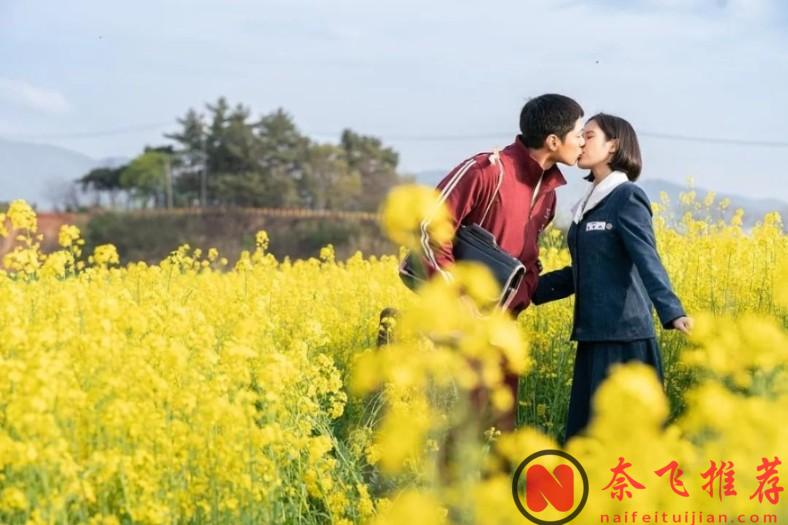 适合周末看的6部高分佳剧，韩国两部上榜