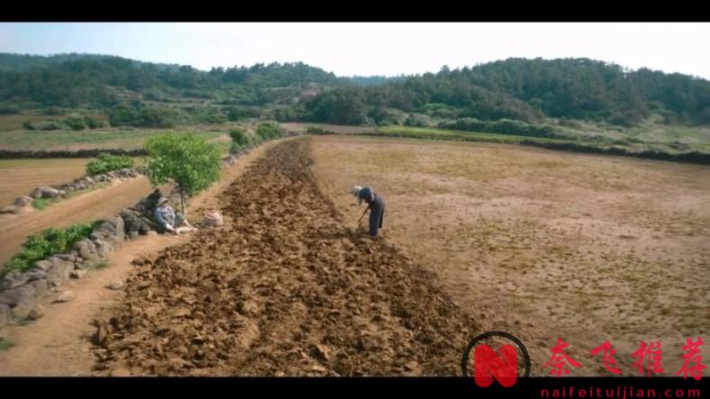 炸裂9.3分！《辛苦了 / 您辛苦了 / 你辛苦了》真敢拍！濟州島女人“賣身”血淚史