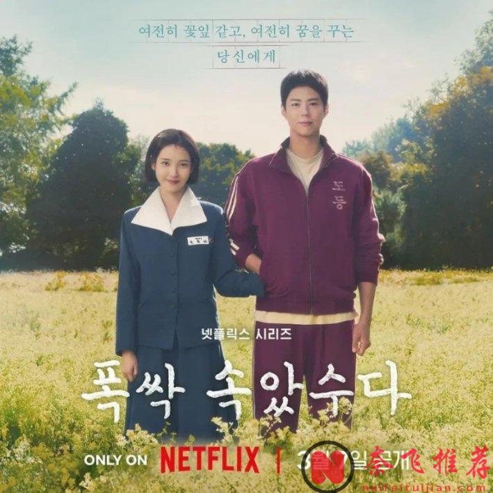 炸裂9.3分！《辛苦了 / 您辛苦了 / 你辛苦了》真敢拍！濟州島女人“賣身”血淚史