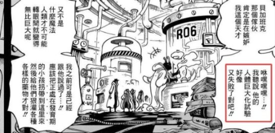 海賊王1175話幾處細節分析丨尼德霍格與伊姆的關聯早有暗示？伊姆可能存在了不止800年！？