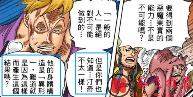 黑胡子为何能吃两颗果实？真相细思极恐！