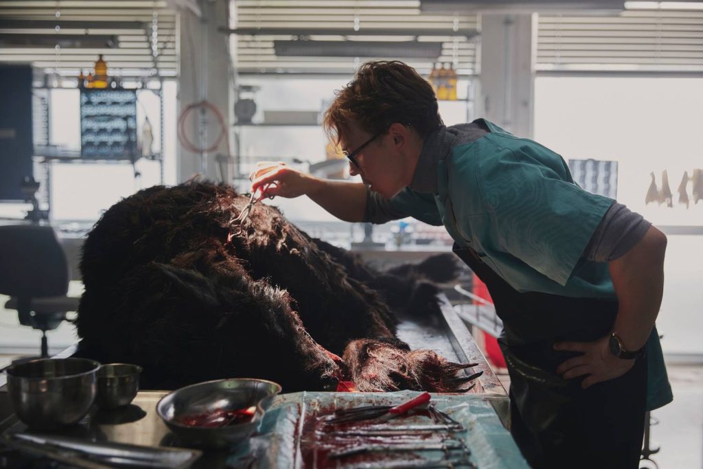 挪威Netflix驚悚電影《維京惡狼》點評：挪威推出的血腥狼人電影