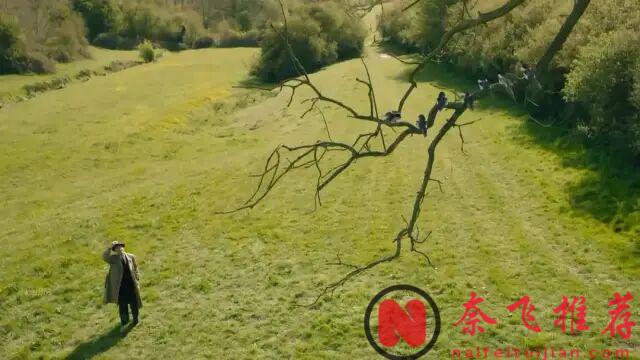 5部后劲超大的悬疑神剧！熬过开头，越看越上头