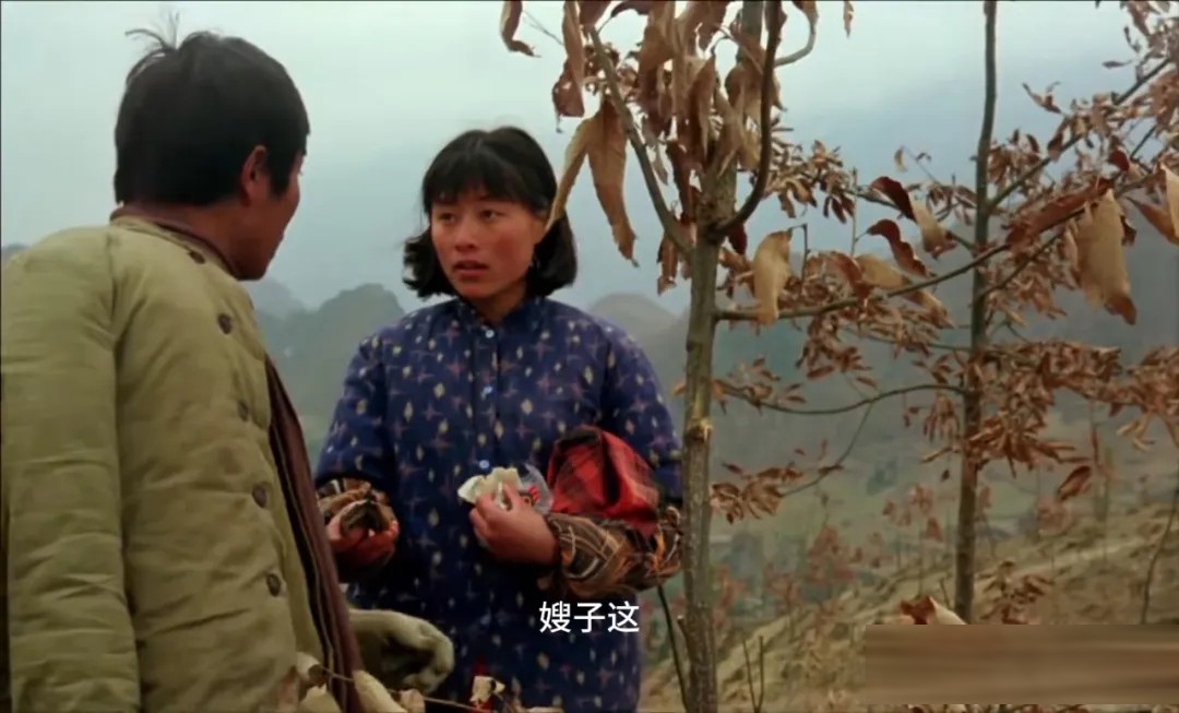 《野山》:山村婚姻里的求新与求稳,谁更懂对方