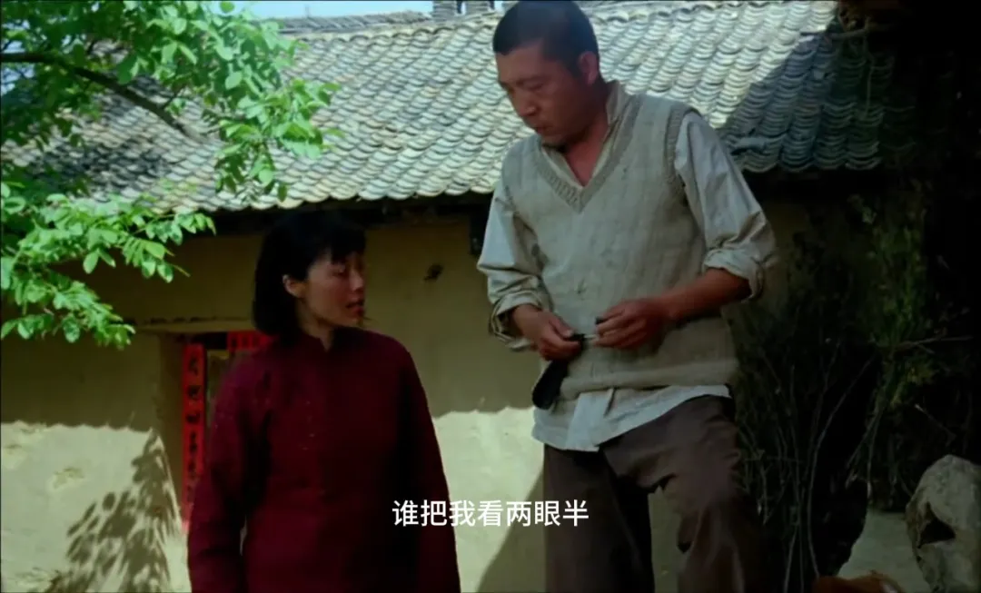 《野山》:山村婚姻里的求新与求稳,谁更懂对方