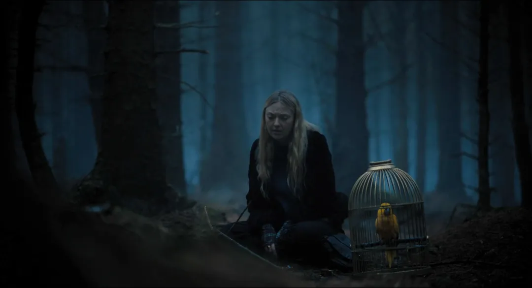 被困森林同时被偷窥，高能悬疑片《窥探者/神秘窥视》来了！