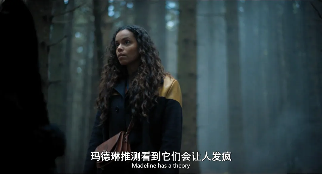 被困森林同时被偷窥，高能悬疑片《窥探者/神秘窥视》来了！