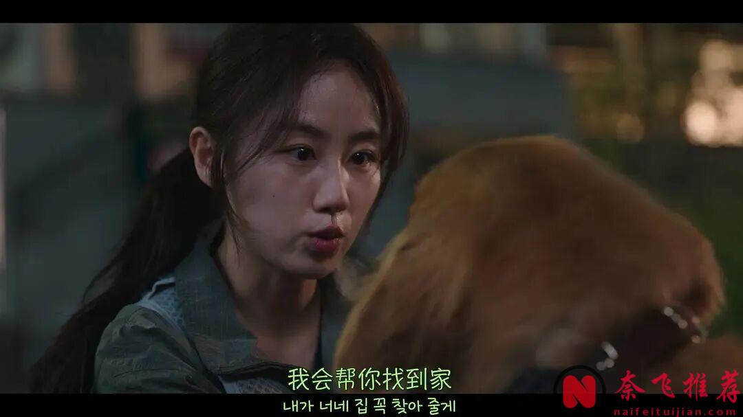 tvN又一部良心韓劇《公益律師/無償服務》，落魄律師為弱者申冤，收視創佳績