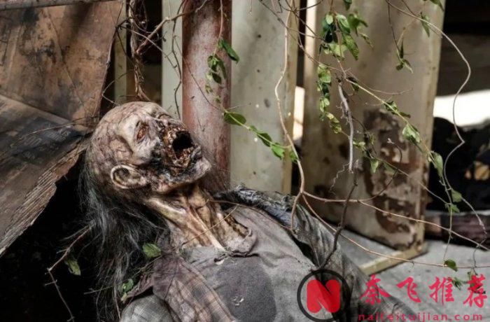 5月最值得追的热门剧，每部都是良心巨作！