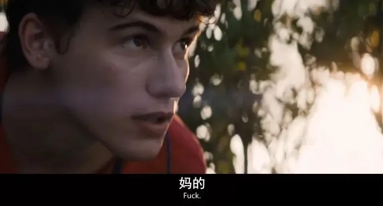 豪华阵容之下，《模范爱侣》口碑却翻车得猝不及防！