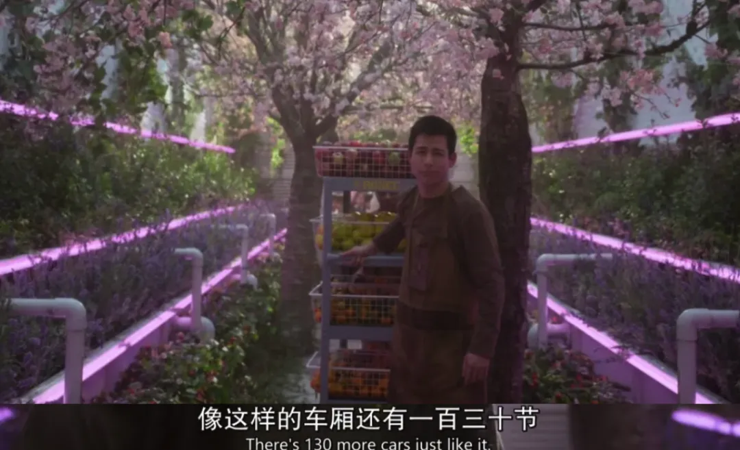 女神主演的《雪国列车/末日列车》，一部脑洞大开的末日美剧！