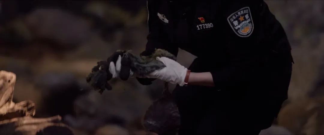 兩集一案，一秒都不想快進，大陸懸疑燒腦劇《獵罪圖鑑2》想不火都難