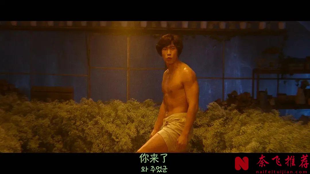 一口气看完！Netflix新剧《爱麻夫人热映中》真敢拍，揭开80年代韩国19禁电影的黑幕