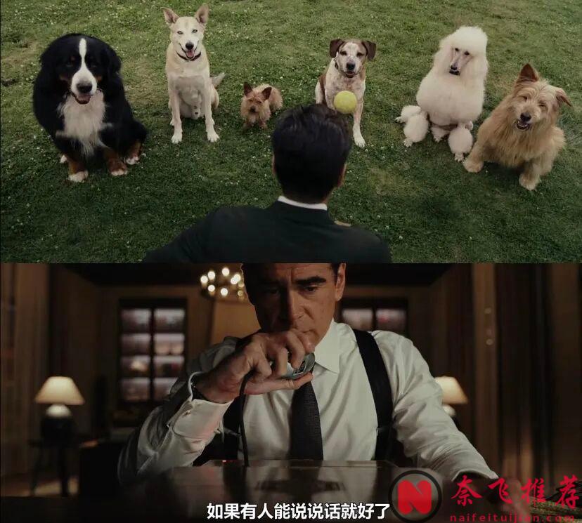爛番茄96%，驚天大反轉，這部犯罪美劇《謎探休格/洛城奇探》第二季終於迴歸了！