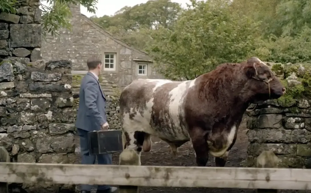 高分英劇《萬物生靈/菜鳥獸醫日記》太治癒了，從頭看到尾依然意猶未盡~