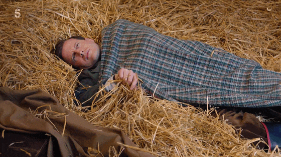 高分英劇《萬物生靈/菜鳥獸醫日記》太治癒了，從頭看到尾依然意猶未盡~