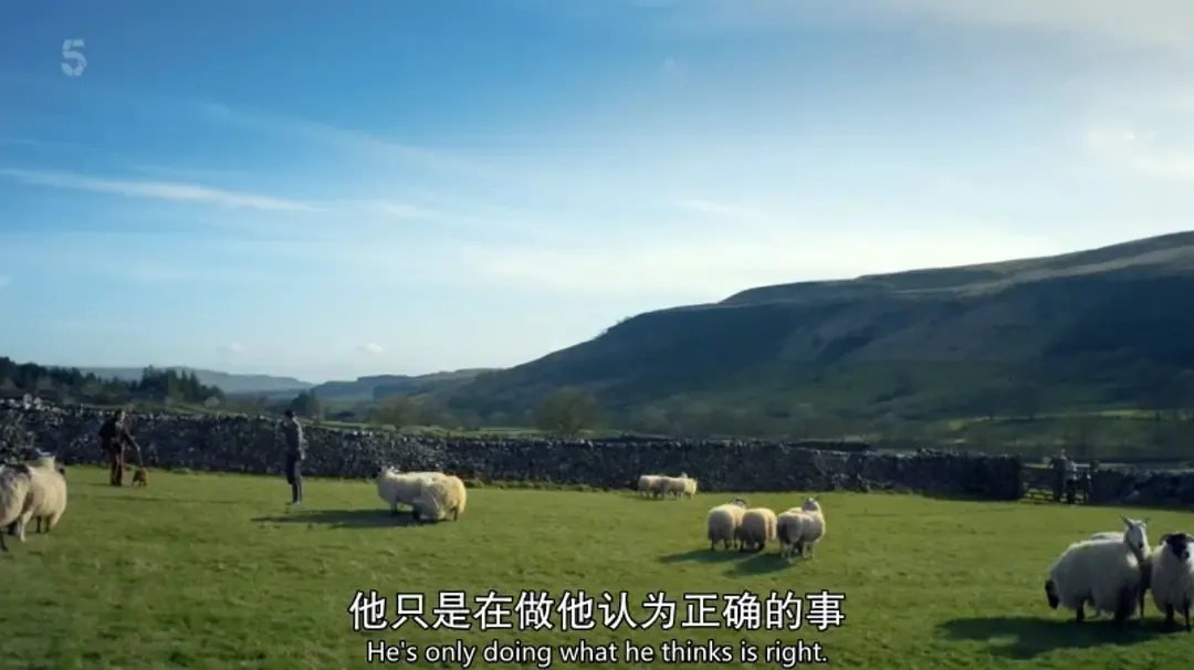 高分英劇《萬物生靈/菜鳥獸醫日記》太治癒了，從頭看到尾依然意猶未盡~