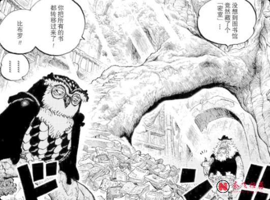 海贼王1191话情报补充丨猫头鹰爆料重要情报震惊乔巴！海尔丁打伊姆这合理吗？