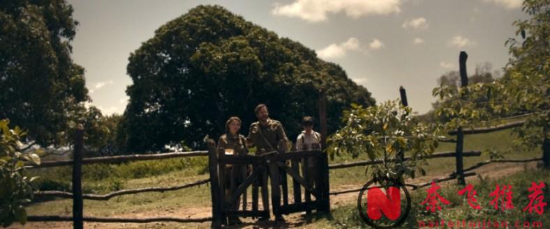 三女神王炸陣容，這部荒島求生電影《伊甸/伊甸園/物種起源》太養眼！