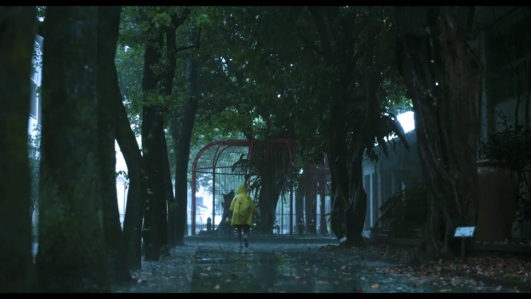 這禁忌臺片《小曉》一出，她就成了頂流！