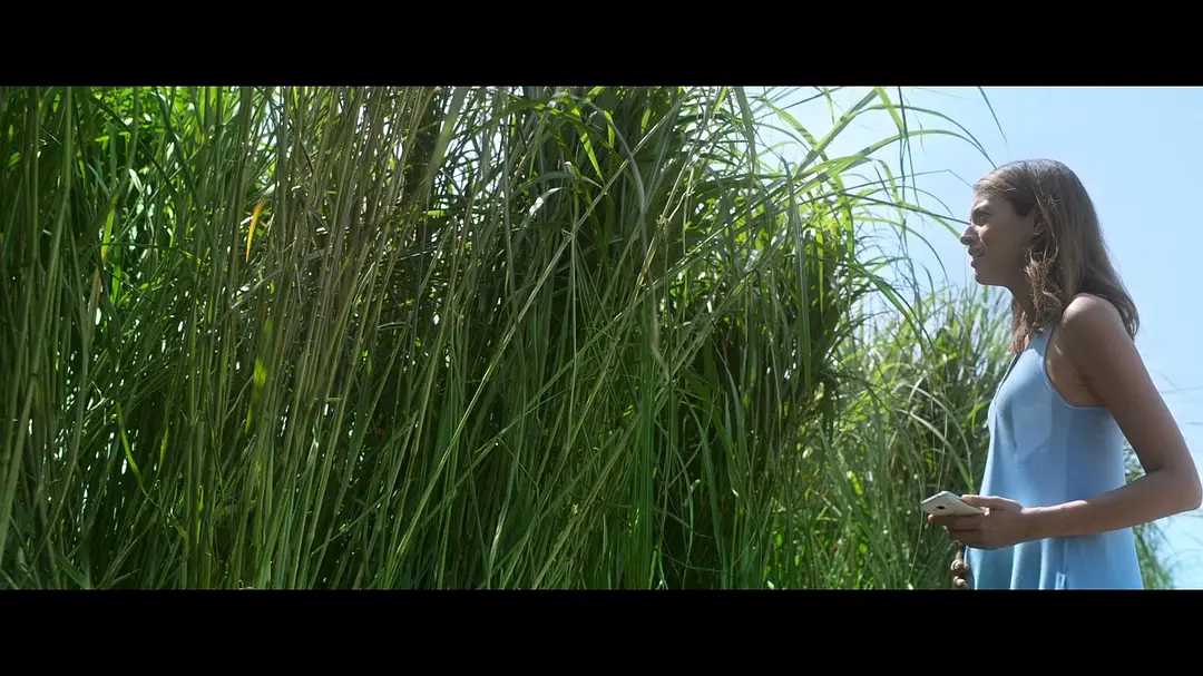 詭異邪典恐怖片《高草叢中/高草魅聲》，草叢裏的因果迴圈