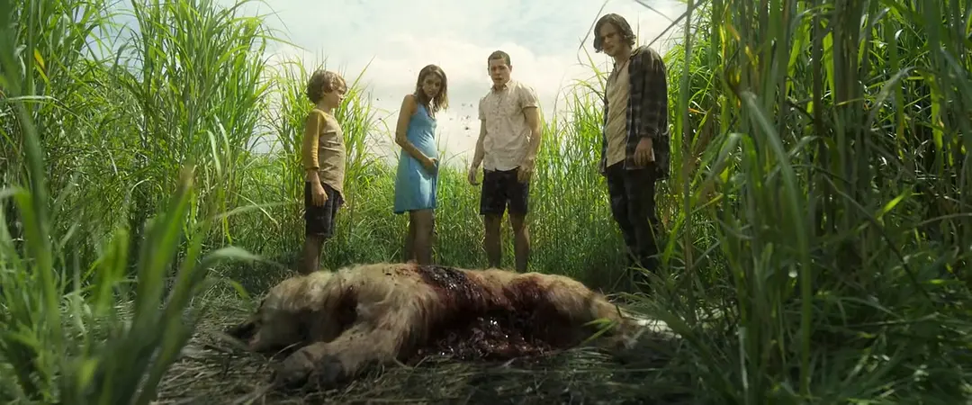 詭異邪典恐怖片《高草叢中/高草魅聲》，草叢裏的因果迴圈