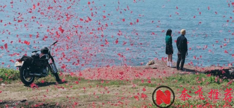 又一部尺度台剧《塑胶花》上线，为你诠释男人不坏女人不爱的”真谛“