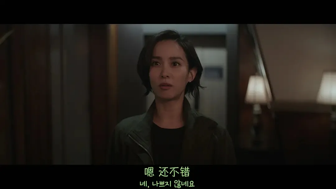 5部韩国硬核爽片：从《恶女》到朴赞郁《无可奈何》，全程高能看得过瘾