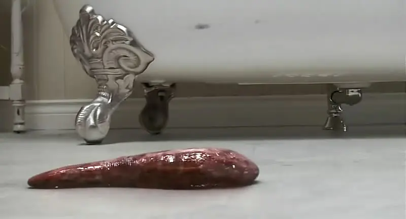 重口到炸裂的B级恐怖片《撕裂人/到处游荡/魔虫滑滑/魔虫口入》，看一眼都能瘦2斤