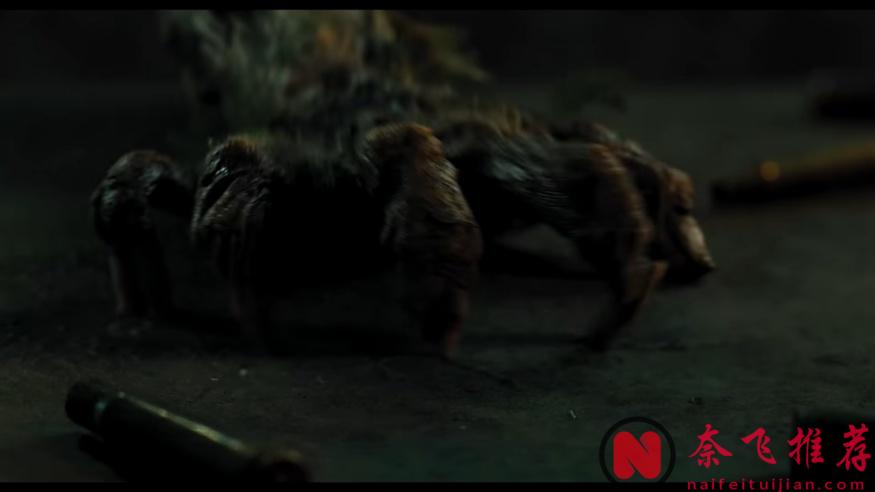 三国混血美女安雅上演美版牛郎织女！？《峡谷/禁谷》带你体验峡谷绝恋！