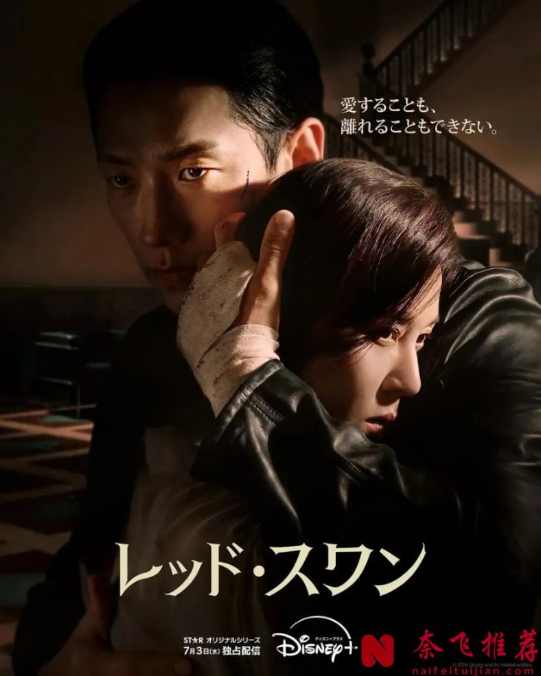 又一復仇韓劇《紅天鵝/華仁緋聞》來了，豪門兒媳愛上保鏢，狗血爽劇