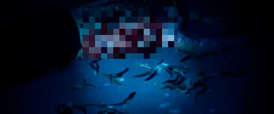 “鬼家人”衍生劇《正港分局》，是狗尾續貂還是錦上添花？