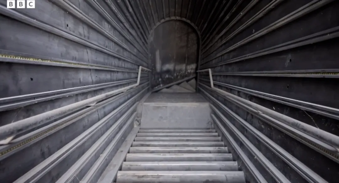 危機來臨前永遠不知道身邊究竟是什麼人，這部影片每一幕都讓人觸目驚心！