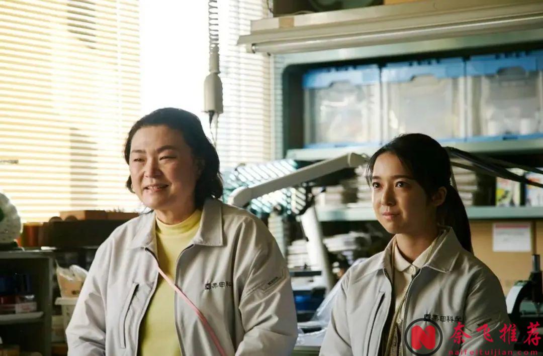 又暖又治愈，年度最佳非《黎明的一切/长夜尽头的微光》莫属！