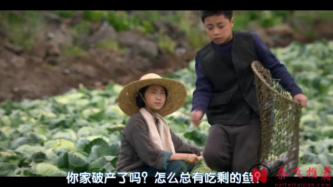 2025爆火Netflix韓劇《苦盡柑來遇見你》，耗資600億的大製作，叛逆少女和鋼鐵直男的極致浪漫之旅