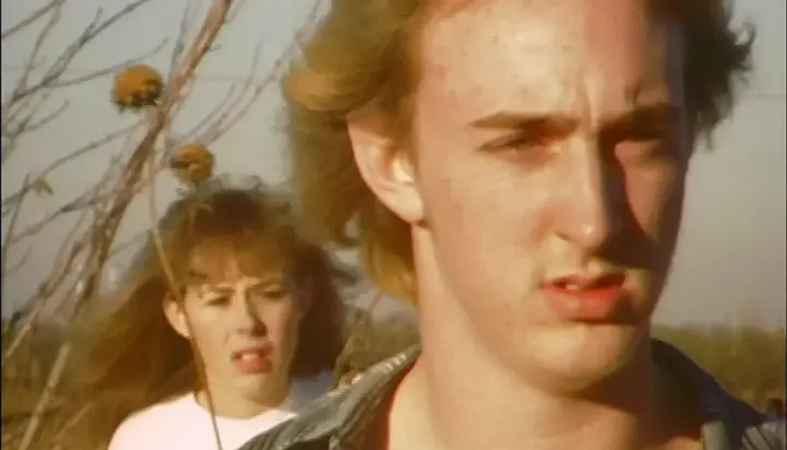 推荐5部血腥暴力电影，cult影迷私藏的暴力美学