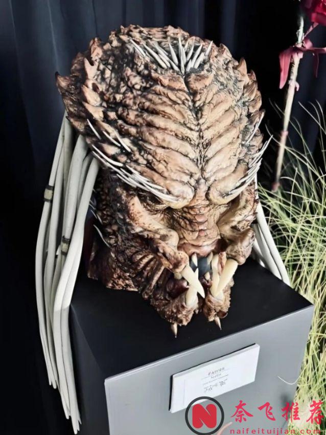 《鐵血戰士：劣地/鐵血戰士：蠻荒廝殺/終極戰士：殺戮星球》新曝光資訊彙總，深度刻畫鐵血部落文化