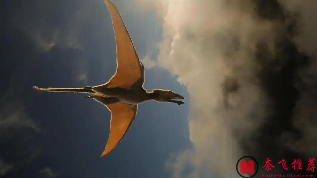 Netflix又砸錢，這部史詩級大片《恐龍時代：你不知道的故事/我們星球上的生命2》太猛了