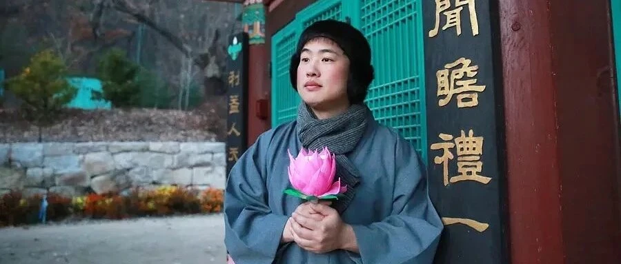 《请回答1988》为什么封神：三个关键词，读懂双门洞的人情