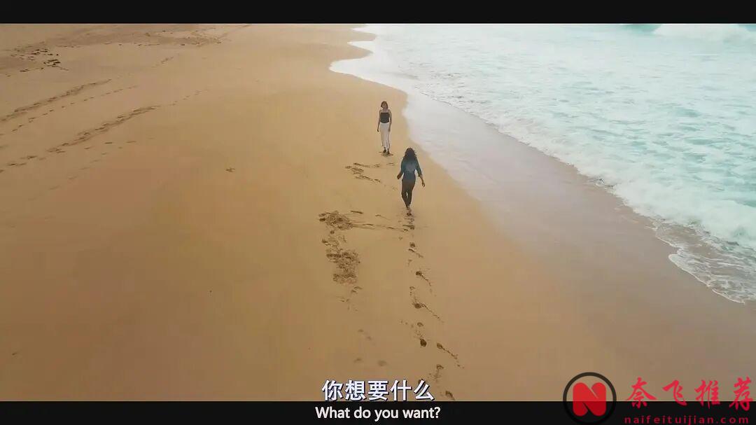 坏人最怕遇到的不是警察，而是比他们更坏的人！全员恶美剧《豹纹》也太癫了！