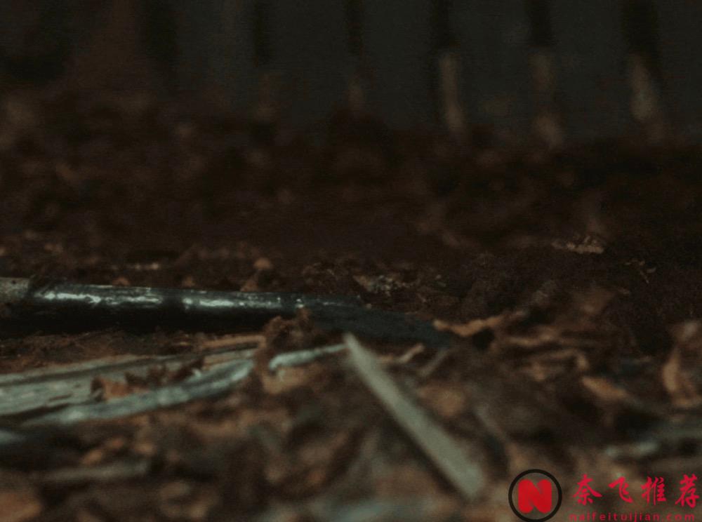 血腥重口大尺度，年度最佳恐怖片《暴力本性》胆小勿看！