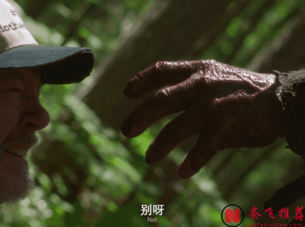 血腥重口大尺度，年度最佳恐怖片《暴力本性》胆小勿看！