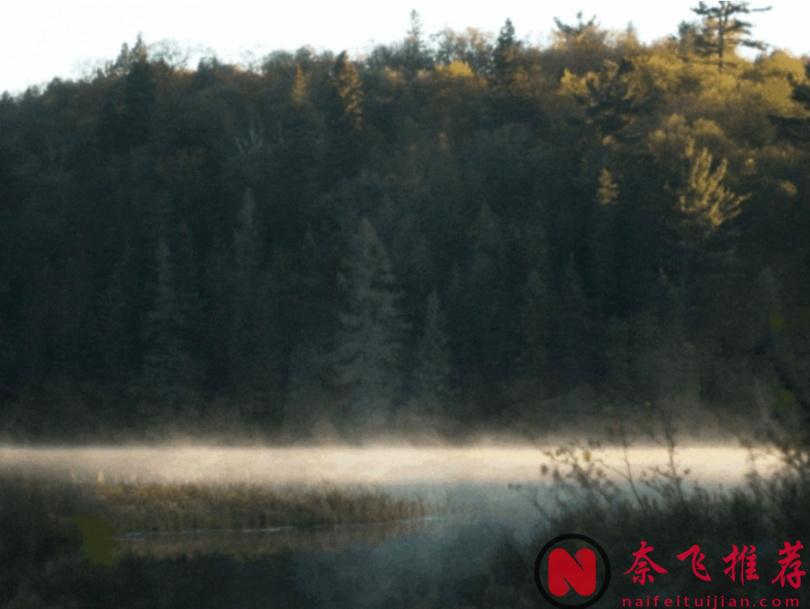 血腥重口大尺度，年度最佳恐怖片《暴力本性》胆小勿看！