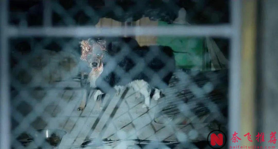 你敢想象嗎？  那些說著"永遠不分開"的情侶，最終真的會長成血肉模糊的連體怪物