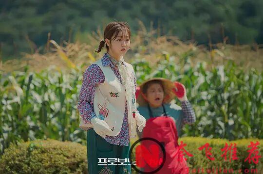 開播即爆，網飛的這部披著喜劇外衣的社會良心劇《公益律師/無償服務》太頂了