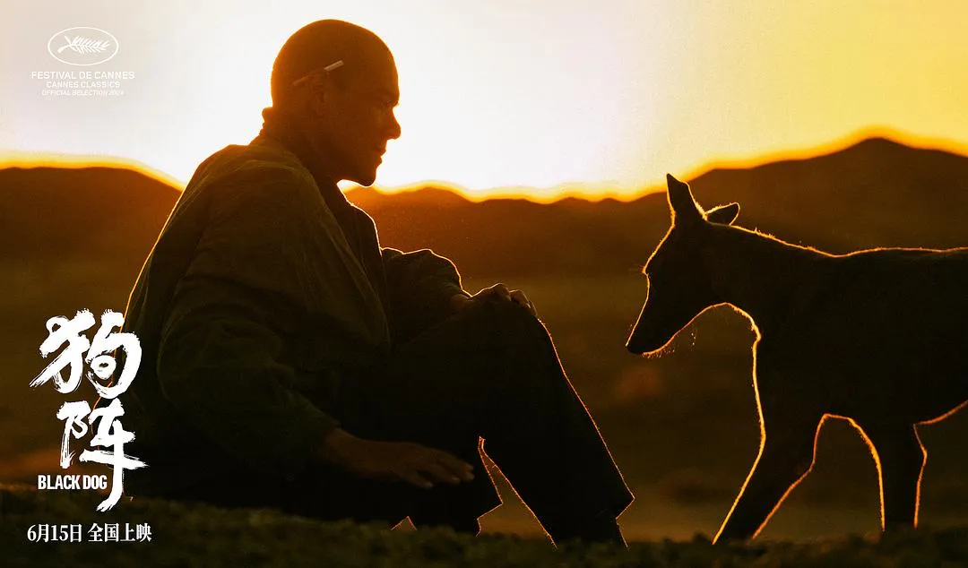 《狗阵/狗镇/斗狗》口碑两极，神片还是烂片？