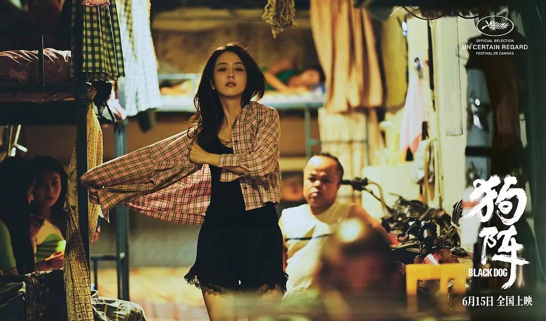 《狗阵/狗镇/斗狗》口碑两极，神片还是烂片？