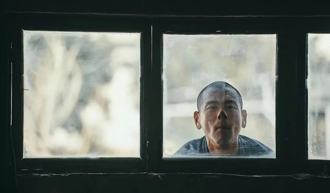 《狗阵/狗镇/斗狗》口碑两极，神片还是烂片？