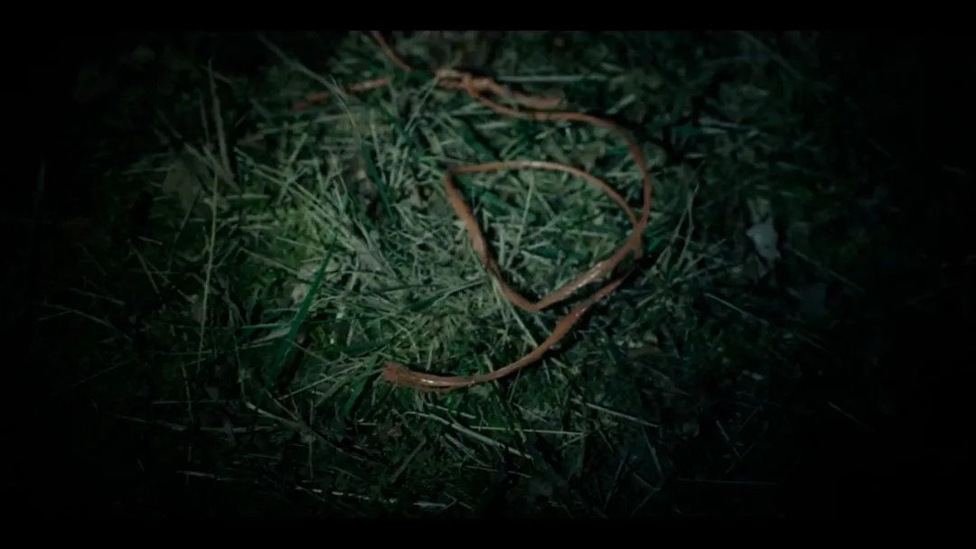 真实案件改编的 Netflix 神剧《阿颂塔之死》，忍不住看完6集，口碑上升中