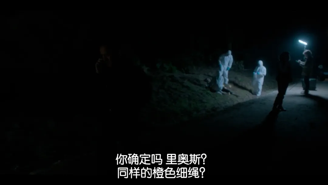 真实案件改编的 Netflix 神剧《阿颂塔之死》，忍不住看完6集，口碑上升中